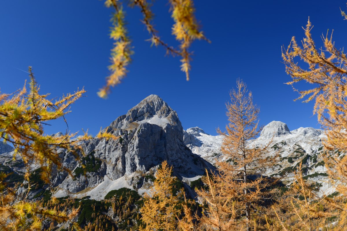 Mišelj vrh in Julian Alps in autumn (foto Peter Pehani)